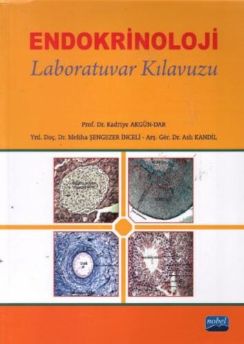 Endokrinoloji Laboratuvar Kılavuzu  Frontansicht 1