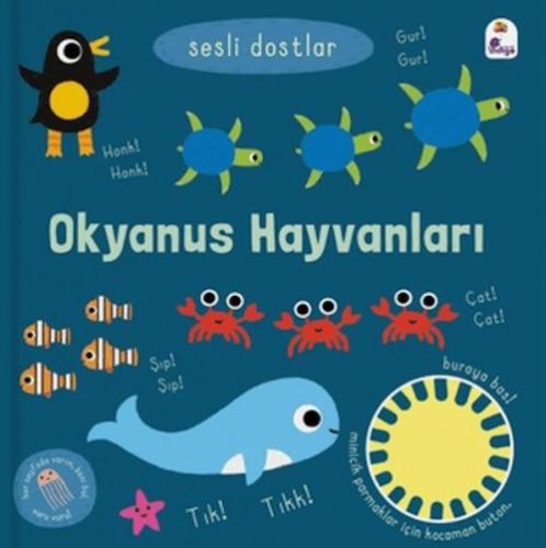 Sesli Dostlar - Okyanus Hayvanları (Sesli Kitap)  Frontansicht 1