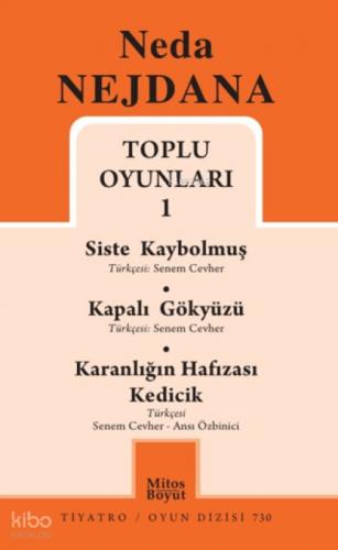 Toplu Oyunları 1;Siste Kaybolmuş - Kapalı Gökyüzü - Kadın Karanlığın Hafızası  Frontansicht 1