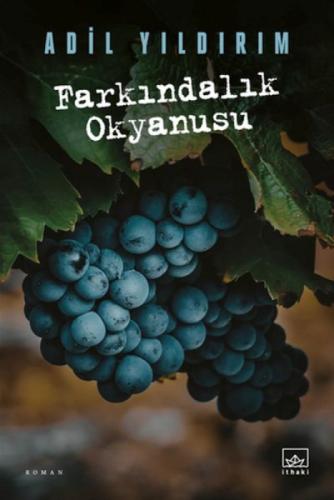 Farkındalık Okyanusu  Frontansicht 1