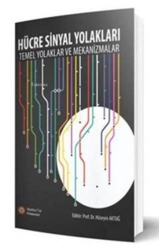 Hücre Sinyal Yolakları;Temel Yolaklar ve Mekanizmalar  Frontansicht 1