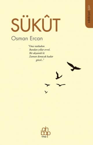 Sükût;"Ona Rastladım Bundan Evvel. Bir Akşamdı ki Zaman Donacak Kadar Güzel..."  Frontansicht 1