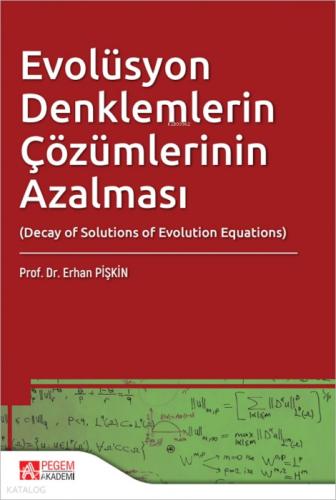 Evolüsyon Denklemlerin Çözümlerinin Azalması  Frontansicht 1