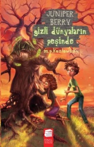 Juniper Berry Gizli Dünyaların Peşinde  Frontansicht 1