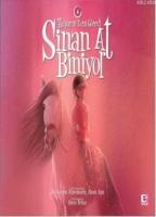 Sinan At Biniyor 4  Frontansicht 1