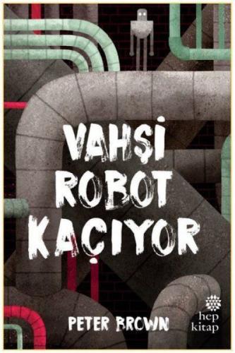 Vahşi Robot Kaçıyor  Frontansicht 1