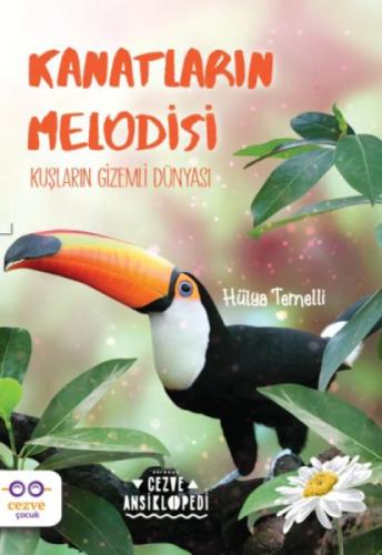 Cezve Ansiklopedi - Kanatların Melodisi  Frontansicht 1