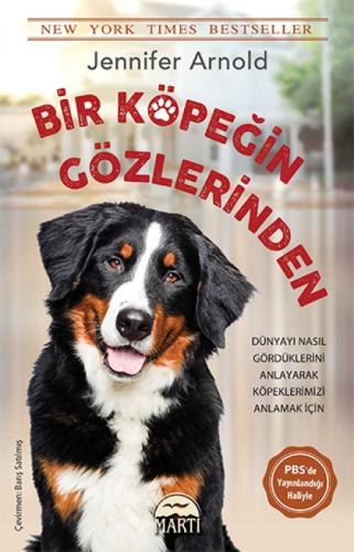 Bir Köpeğin Gözlerinden  Frontansicht 1