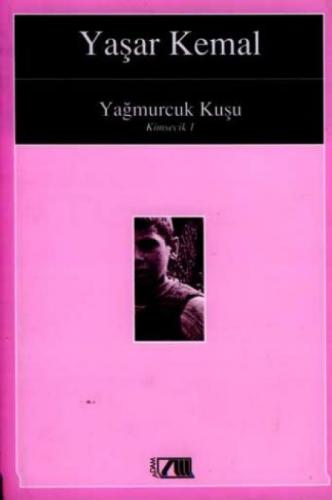 Yağmurcuk Kuşu  Frontansicht 1