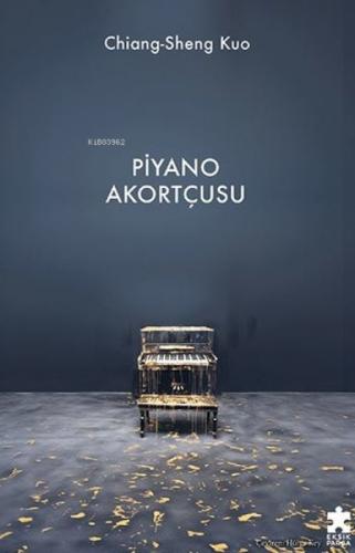 Piyano Akortçusu  Frontansicht 1