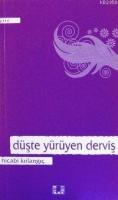 Düşte Yürüyen Derviş  Frontansicht 1