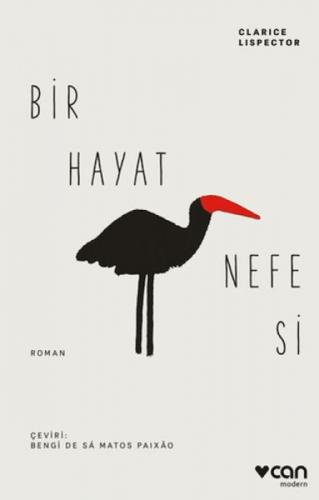 Bir Hayat Nefesi  Frontansicht 1