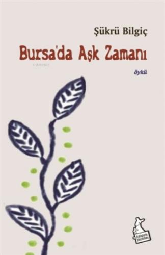 Bursa'da Aşk Zamanı  Frontansicht 1