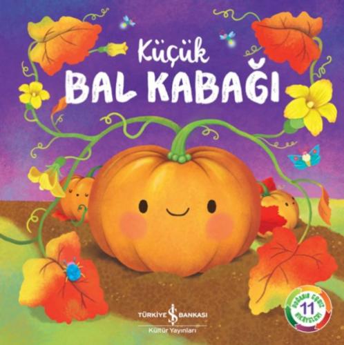 Küçük Bal Kabağı  Frontansicht 1