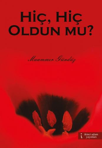 Hiç, Hiç Oldun Mu?  Frontansicht 1