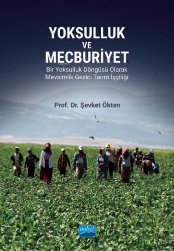 Yoksulluk ve Mecburiyet;Bir Yoksulluk Döngüsü Olarak Mevsimlik Gezici Tarım İşçiliği  Frontansicht 1