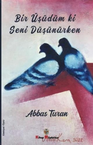 Bir Üşüdüm ki Seni Düşünürken  Frontansicht 1