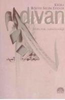 Divan  Frontansicht 1