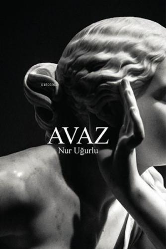 Avaz  Frontansicht 1