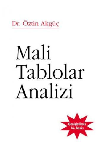 Mali Tablolar Analizi  Frontansicht 1