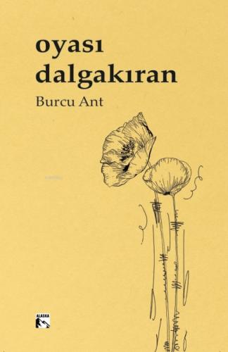 Oyası Dalgakıran  Frontansicht 1