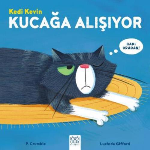 Kedi Kevin Kucağa Alışıyor  Frontansicht 1