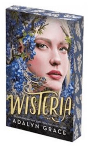 Wisteria  Frontansicht 1