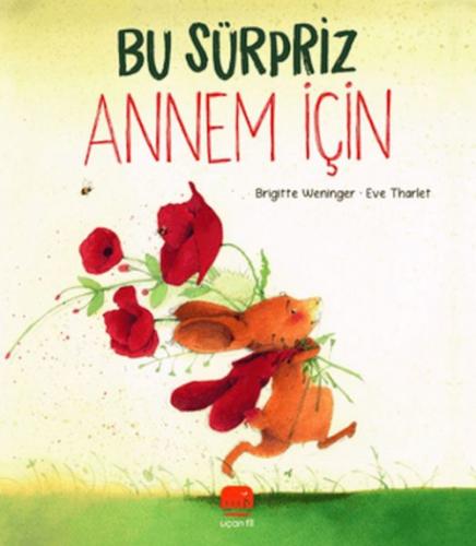 Bu Sürpriz Annem İçin  Frontansicht 1