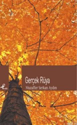 Gerçek Rüya  Frontansicht 1