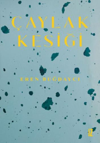 Çaylak Kesiği  Frontansicht 1