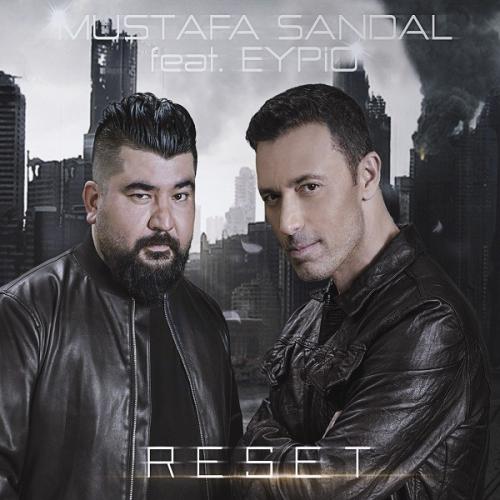 Reset  Frontansicht 1