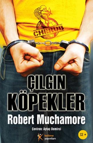 Çılgın Köpekler  Frontansicht 1