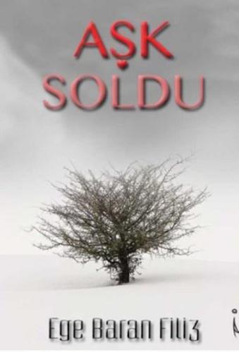 Aşk Soldu  Frontansicht 1