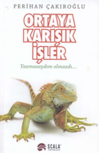 Ortaya Karışık İşler Yazmasaydım Olmazdı...  Frontansicht 1