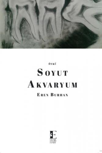 Soyut Akvaryum  Frontansicht 1