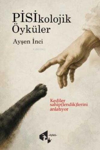 Pisikolojik Öyküler  Frontansicht 1