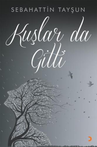 Kuşlar da Gitti  Frontansicht 1