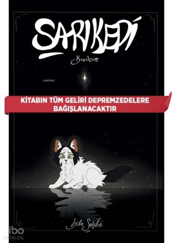 Şarı Kedi: Kıvılcım  Frontansicht 1