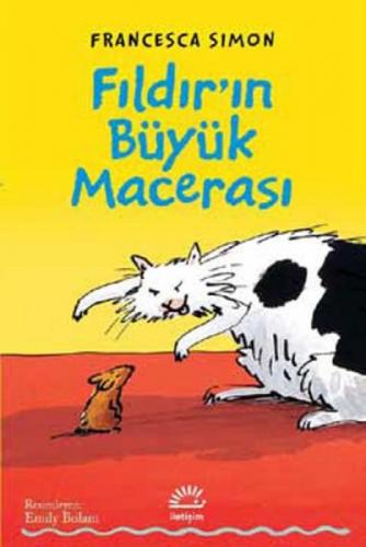 Fıldır'ın Büyük Macerası  Frontansicht 1