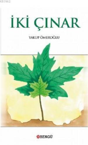 İki Çınar  Frontansicht 1
