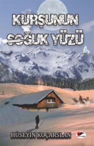 Kurşunun Soğuk Yüzü  Frontansicht 1