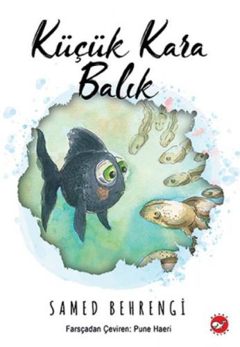 Küçük Kara Balık  Frontansicht 1