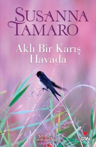 Aklı Bir Karış Havada  Frontansicht 1