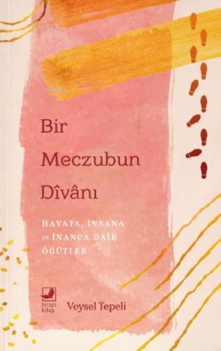 Bir Meczubun Divanı;Hayata, İnsana ve İnanca Dair Öğütler  Frontansicht 1