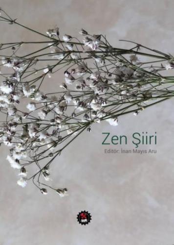 Zen Şiiri  Frontansicht 1