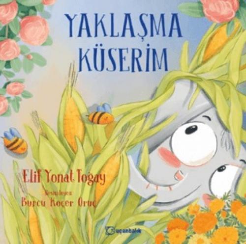 Yaklaşma Küserim  Frontansicht 1