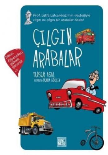 Çılgın Arabalar  Frontansicht 1