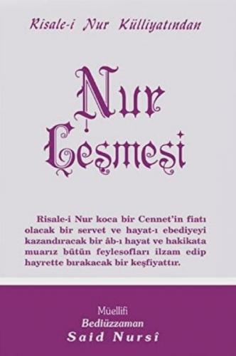 Nur Çeşmesi  Frontansicht 1