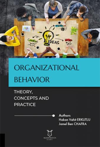 Organizational Behavior: Theory, Concepts and Practice  Frontansicht 1