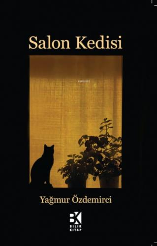 Salon Kedisi  Frontansicht 1